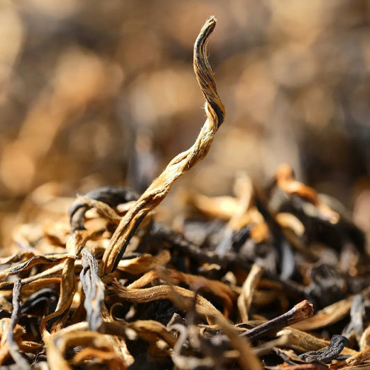 🍵 Dianhong Golden Tips | 滇红(金毫)