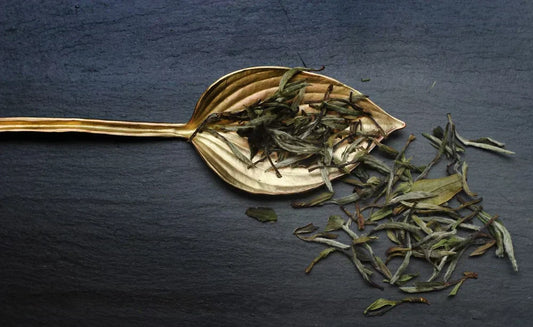 Bai Mu Dan (White Peony)