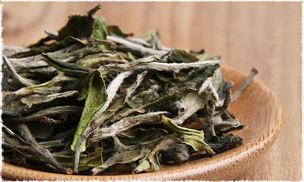 Bai Mu Dan (White Peony)