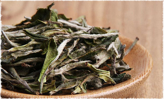 Bai Mu Dan (White Peony)