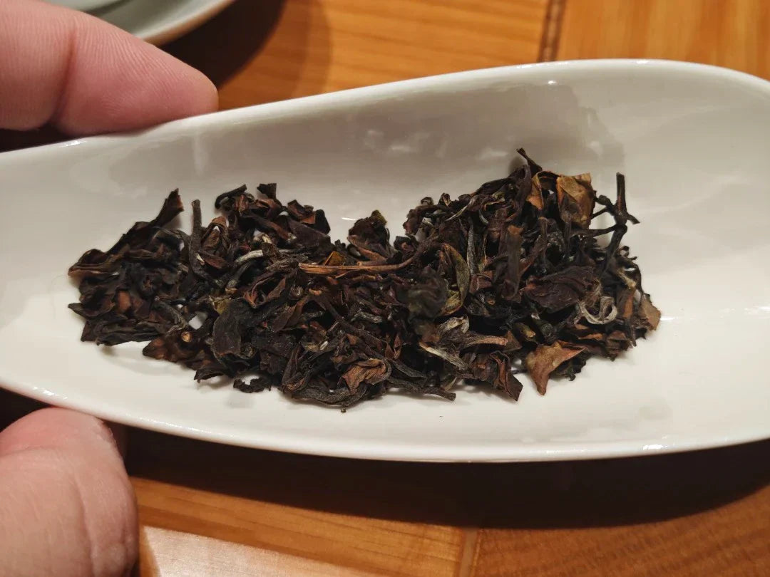 Oriental Beauty (Bai Hao) ｜ 东方美人