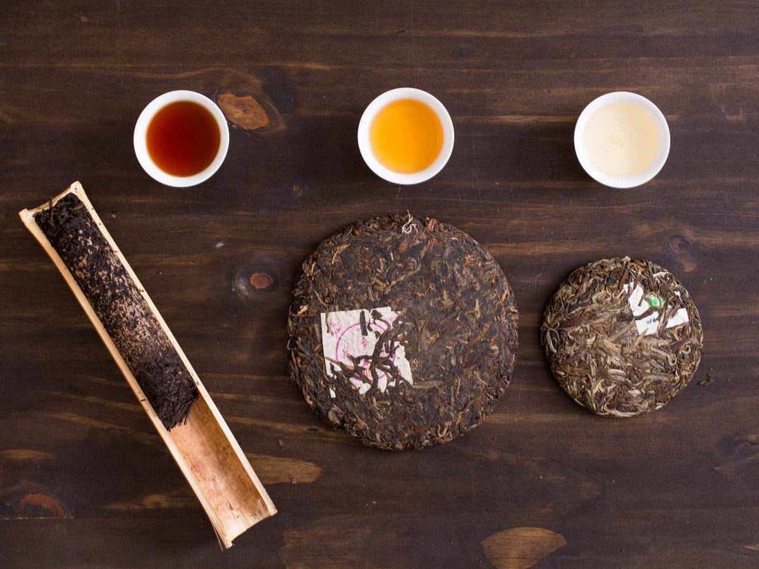 Shu Puerh (熟普洱)