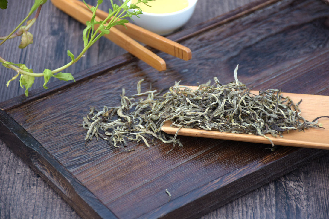 Silver Needle ｜ 白毫银针