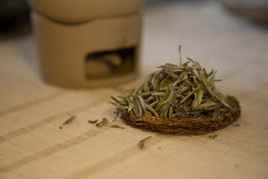 Silver Needle ｜ 白毫银针