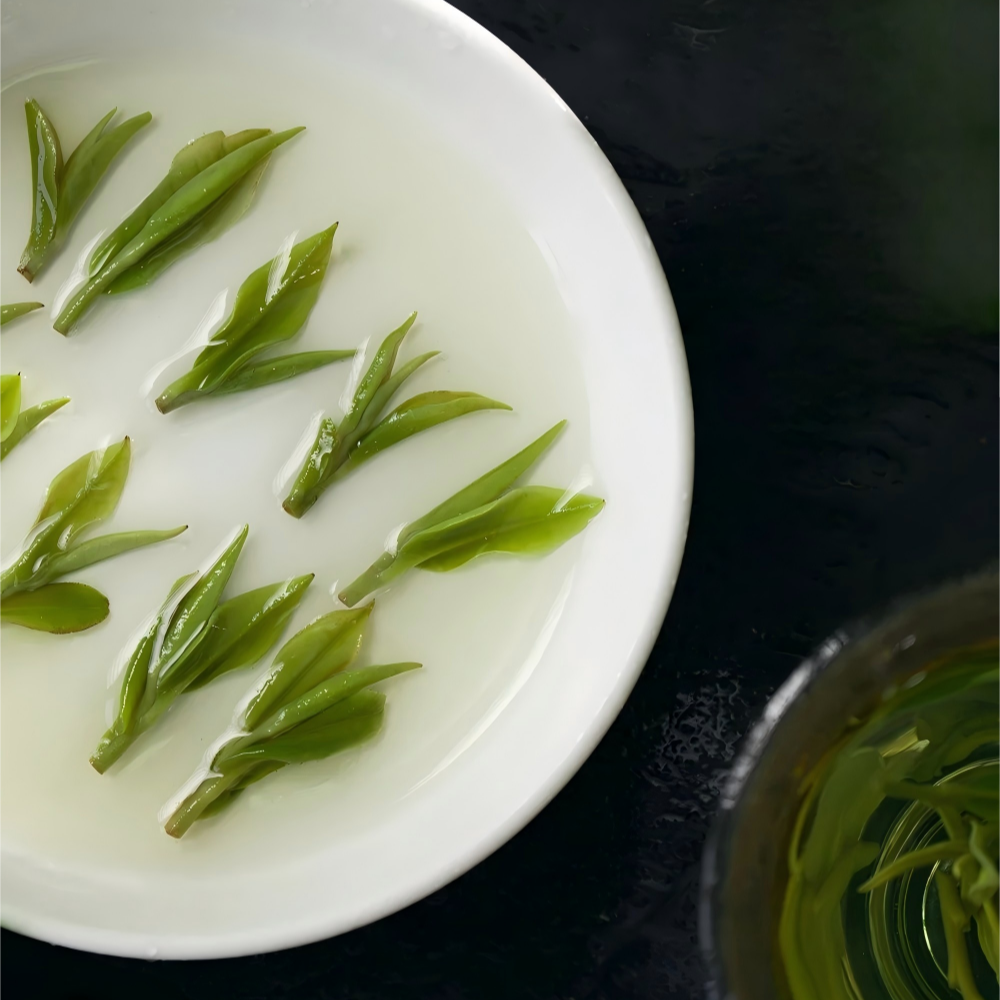 🍃 Anji Baicha (Anji Green) ｜ 安吉白茶（绿茶）