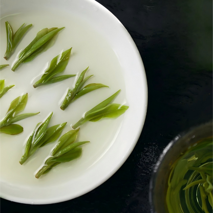 🍃 Anji Baicha (Anji Green) ｜ 安吉白茶（绿茶）
