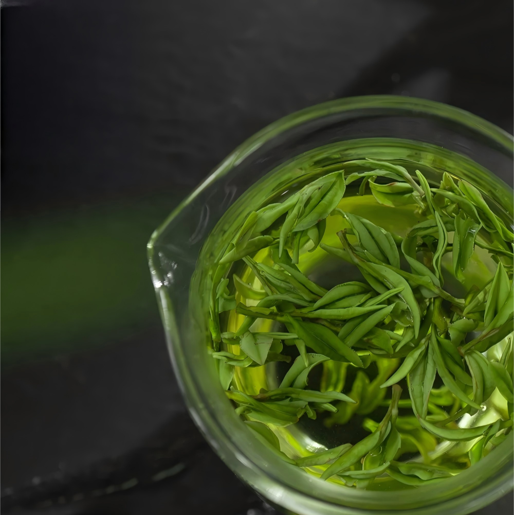 🍃 Anji Baicha (Anji Green) ｜ 安吉白茶（绿茶）