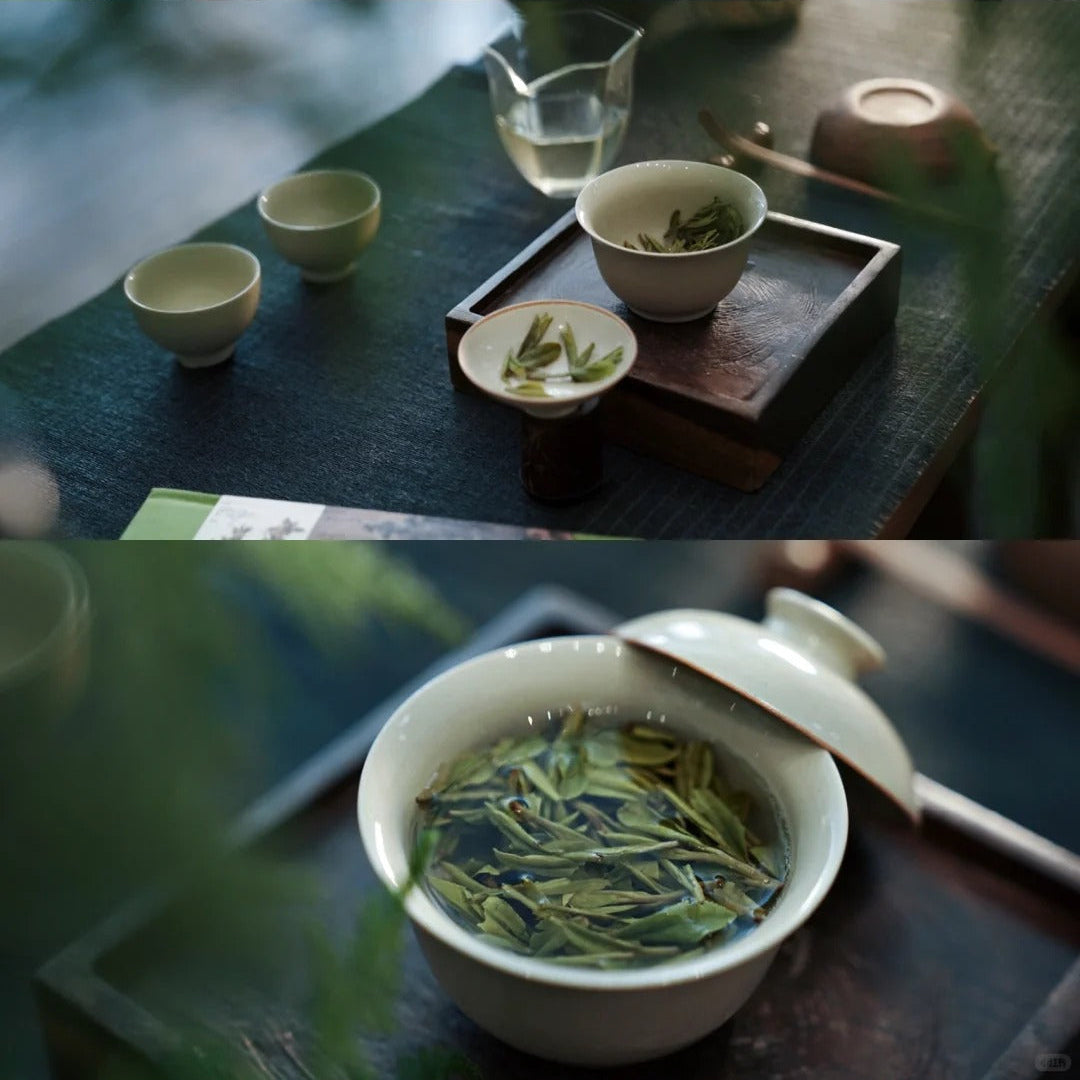 🍃 Longjing (Dragon Well) ｜ 西湖龙井