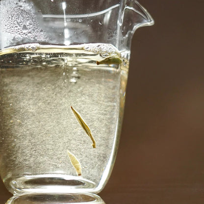 🍵 Silver Needle ｜ 白毫银针