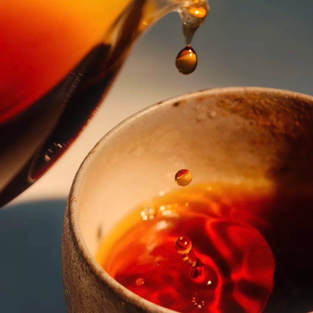 🍵 Ripe Pu-er (Shu) ｜ 熟普洱