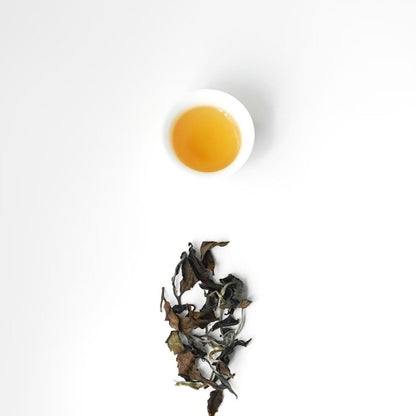 🍵 Oriental Beauty (Bai Hao) ｜ 东方美人