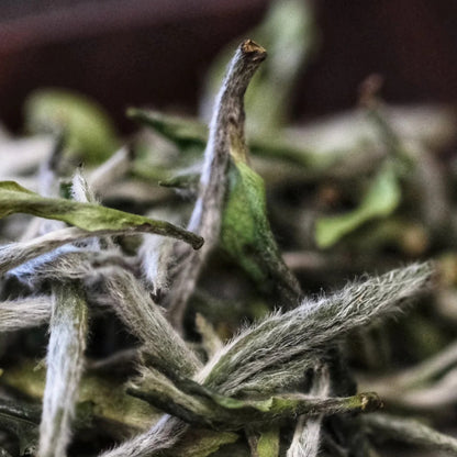 🍵 Bai Mudan (White Peony) ｜ 白牡丹