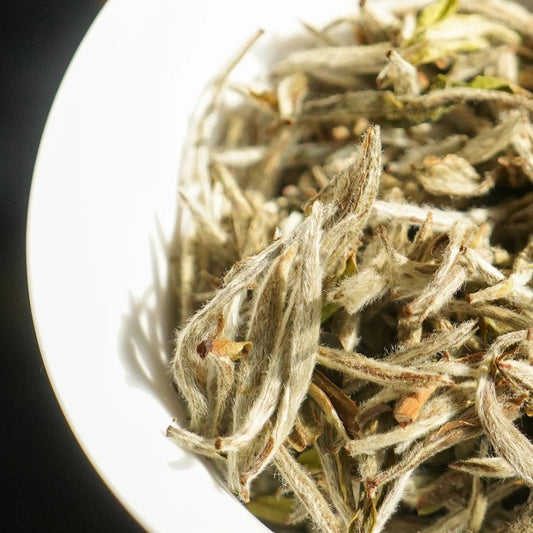 🍵 Silver Needle ｜ 白毫银针