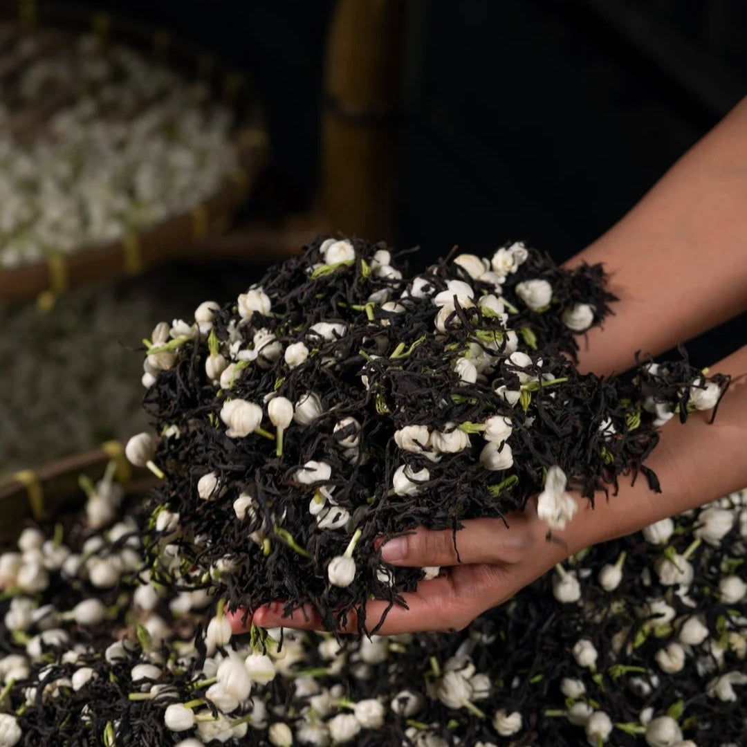 🍵 Jasmine Seven-Scented ｜ 茉莉（七窨）