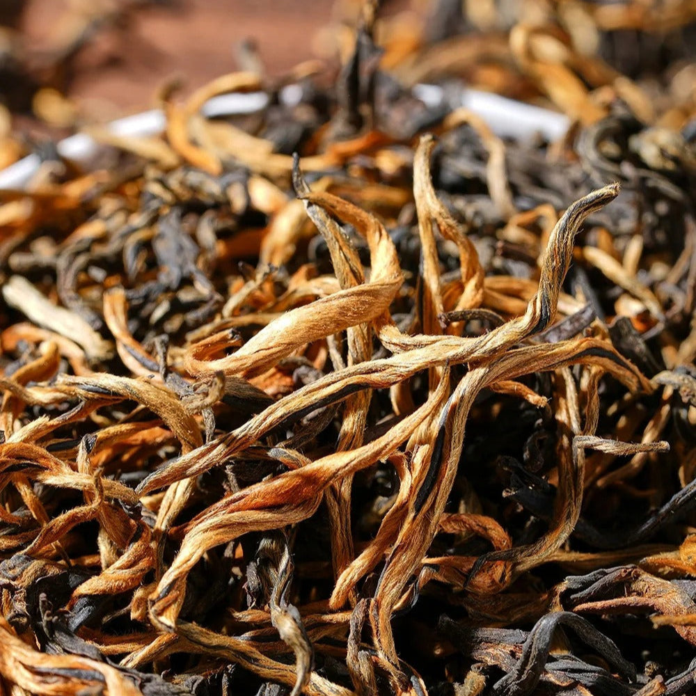 🍵 Dianhong Golden Tips ｜ 滇红（金毫）