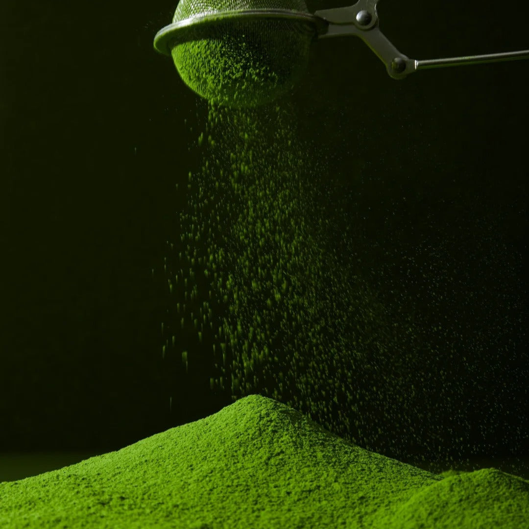 🍵 Matcha Latte Grade ｜ 抹茶（拿铁级)